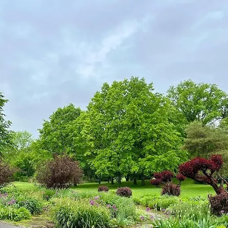 Schickes 2-zi-apartment Am Neckarufer Buga-park Mit Tg-stellplatz